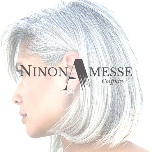 Logo Ninon Amesse